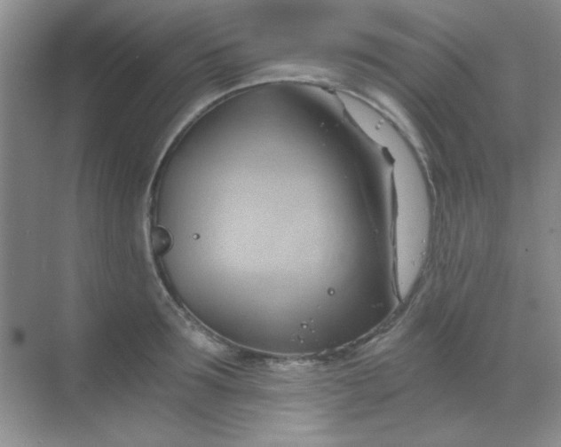 X0000068860899200605192014