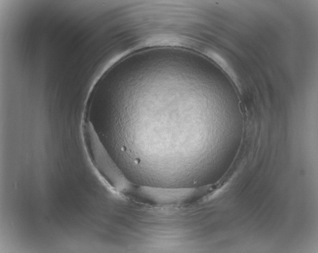 X0000068860901200605192014