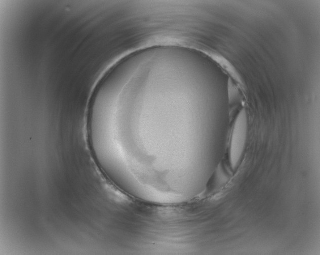 X0000068860904200605192014