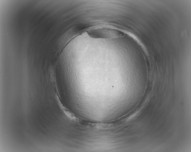 X0000068860905200605192014