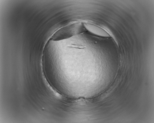 X0000068860906200605192014