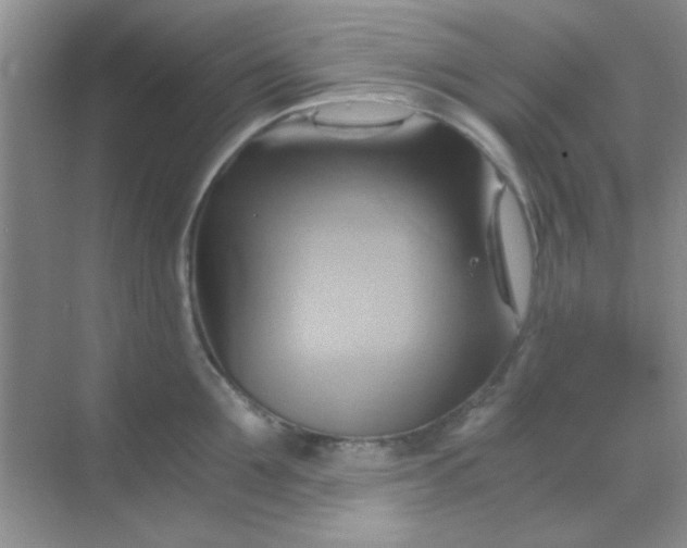 X0000068860907200605192014