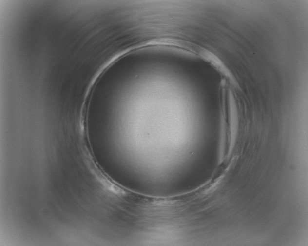 X0000068860908200605192014