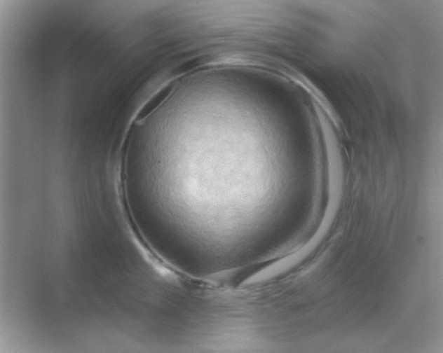 X0000068860909200605192014