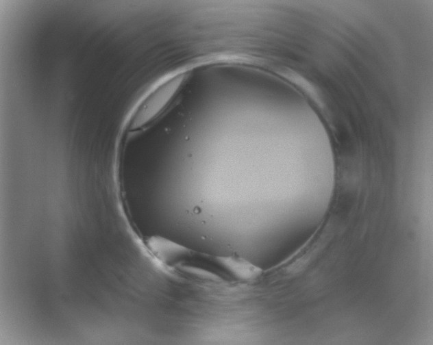 X0000068860910200605192014