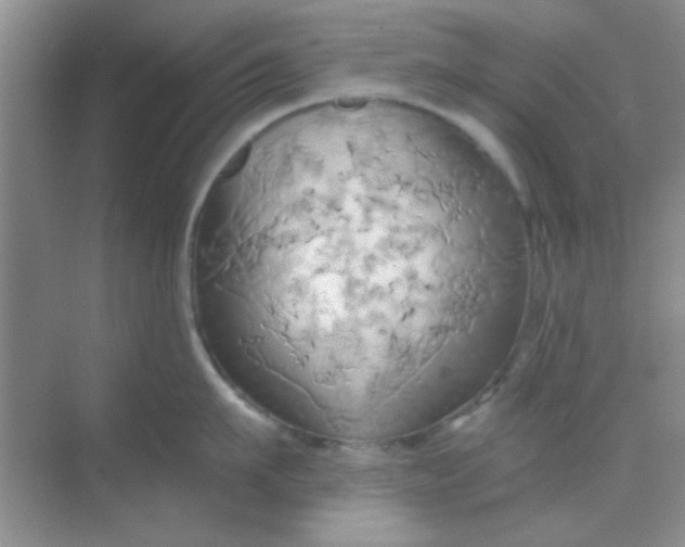 X0000068860911200605192014