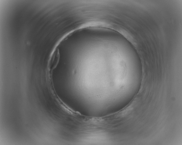 X0000068860912200605192014