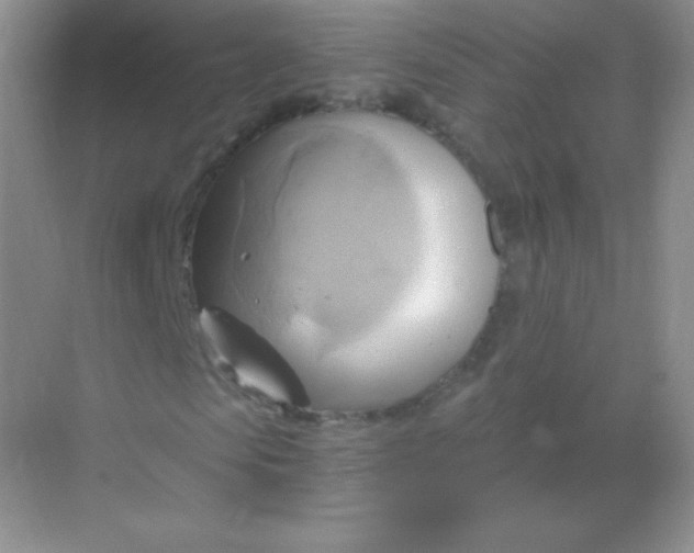 X0000068860913200605192013