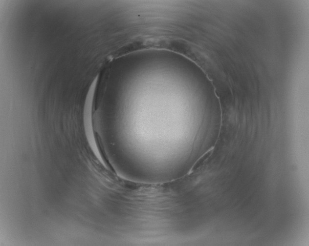 X0000068860914200605192013