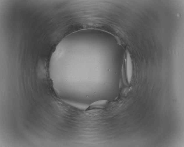 X0000068860915200605192013