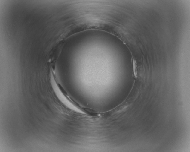 X0000068860916200605192013