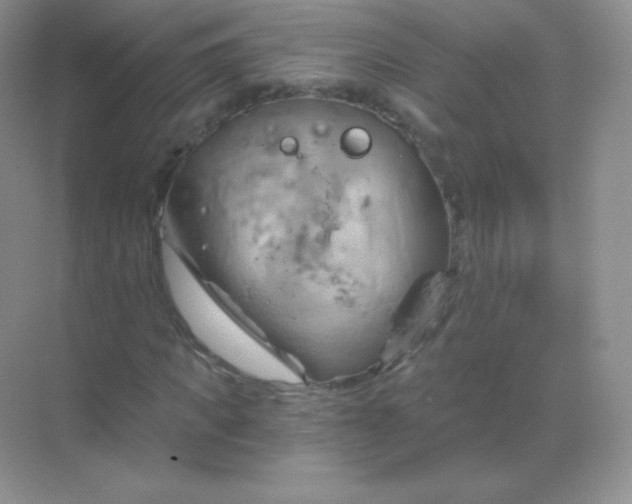 X0000068860917200605192013