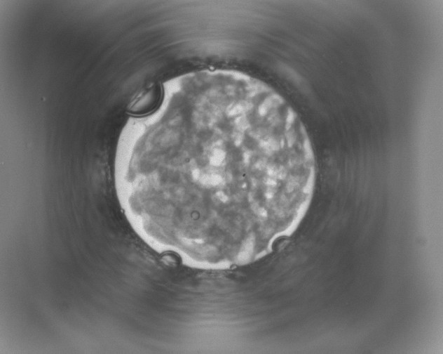 X0000068860918200605192013