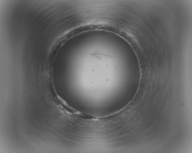 X0000068860920200605192013