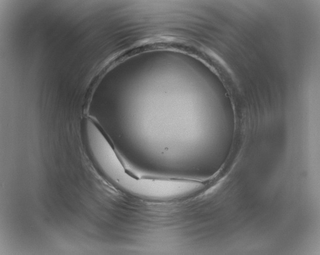 X0000068860921200605192013