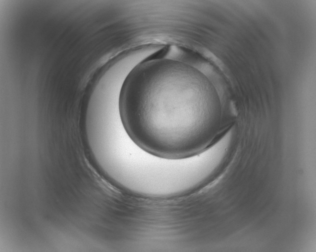 X0000068860922200605192013