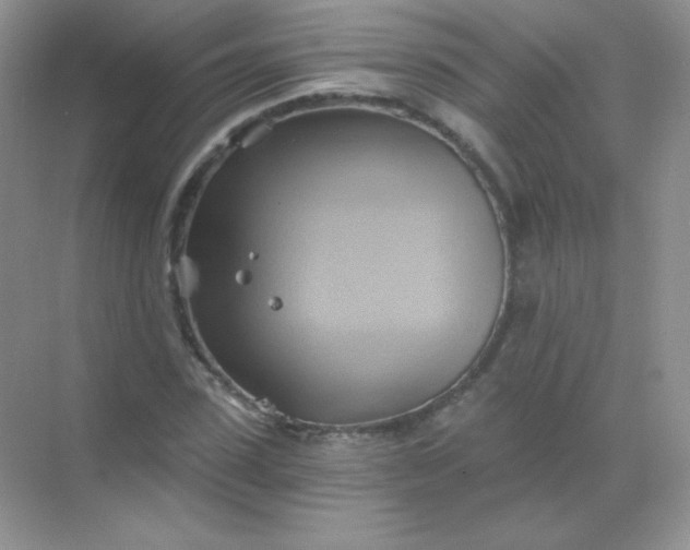 X0000068860923200605192013