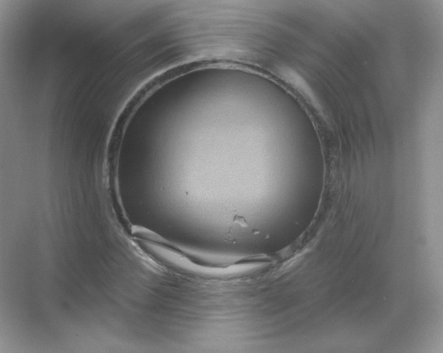 X0000068860924200605192013