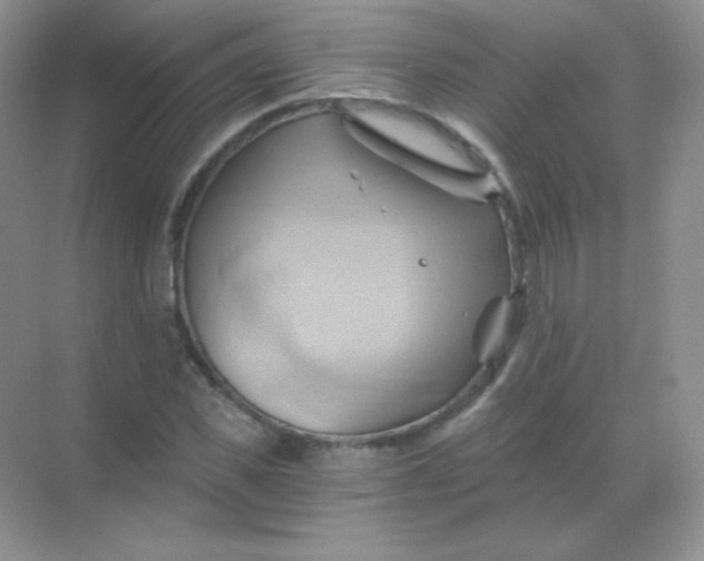 X0000068860925200605192013