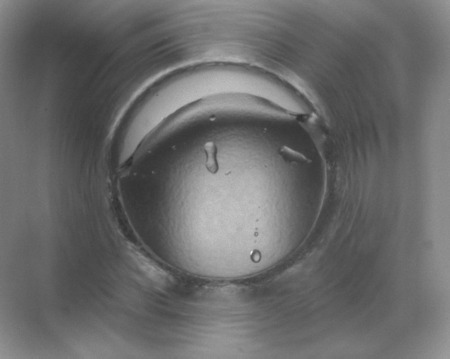 X0000068860926200605192013