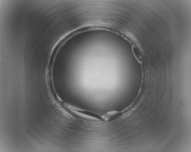 X0000068860928200605192013