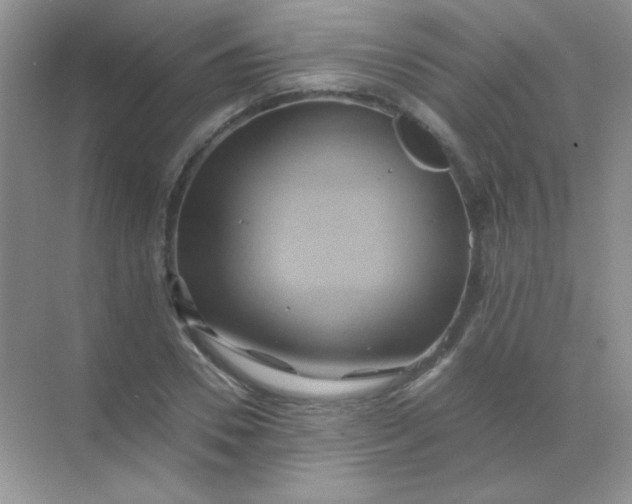 X0000068860930200605192013