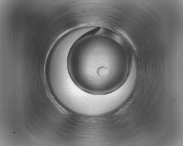 X0000068860932200605192013