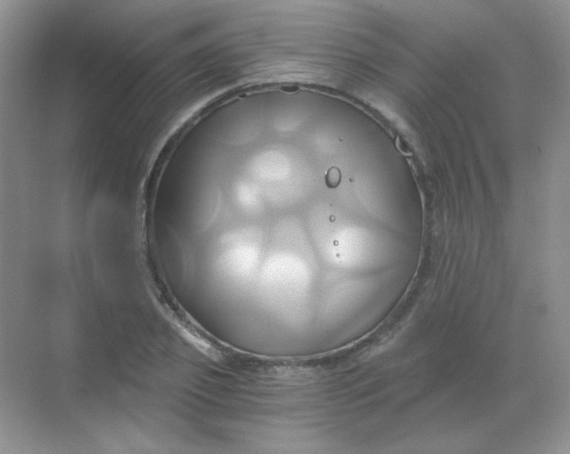 X0000068860933200605192013