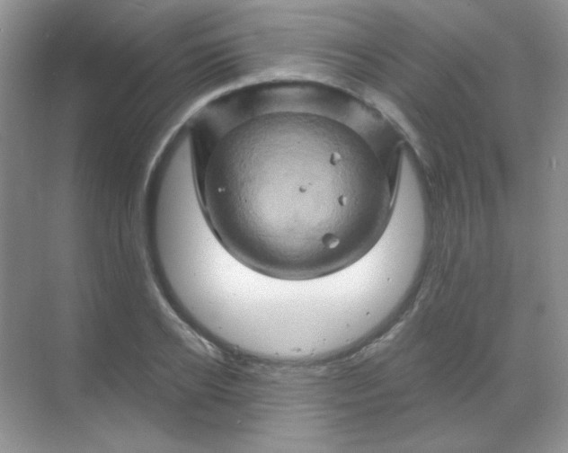 X0000068860934200605192013