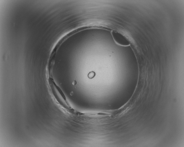 X0000068860936200605192013