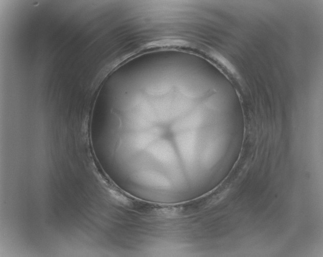 X0000068860937200605192013