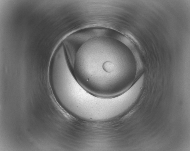 X0000068860940200605192013