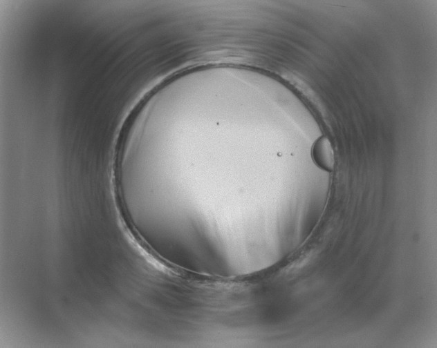 X0000068860941200605192013