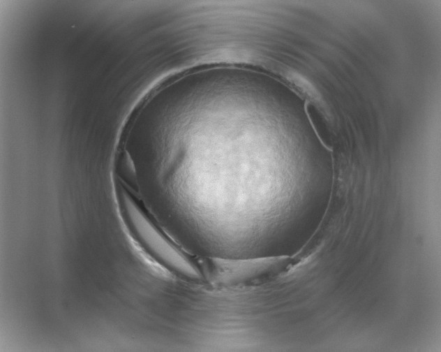 X0000068860942200605192013