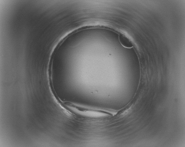 X0000068860943200605192013