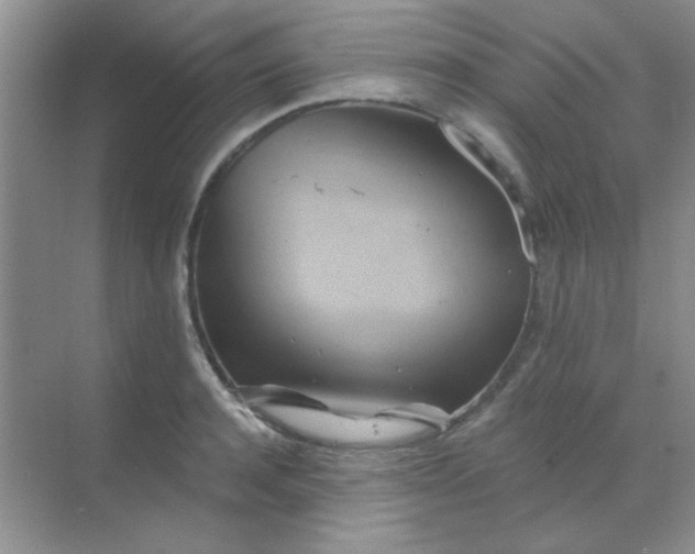 X0000068860944200605192014