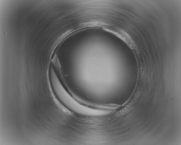 X0000068860946200605192014