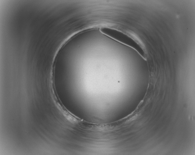 X0000068860948200605192014