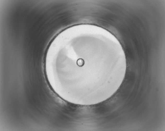 X0000068860950200605192014