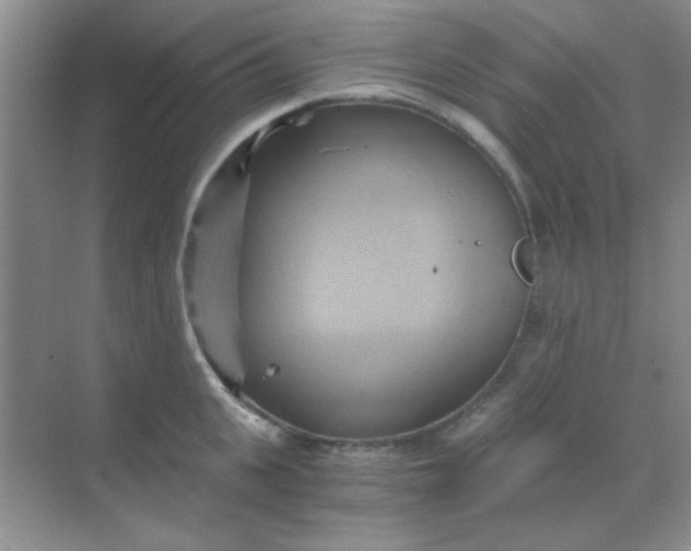 X0000068860951200605192014