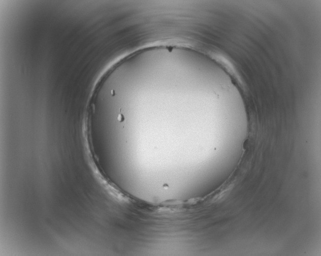 X0000068860952200605192014