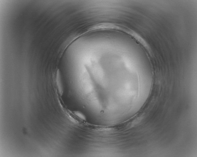 X0000068860953200605192014