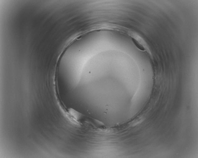 X0000068860954200605192014