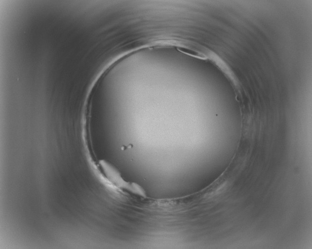 X0000068860955200605192014