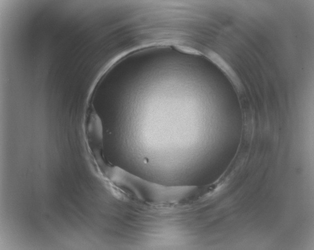 X0000068860956200605192014