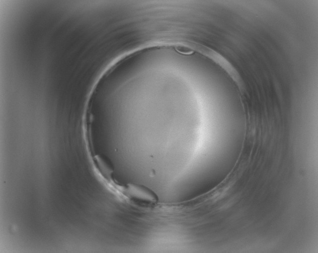 X0000068860958200605192014