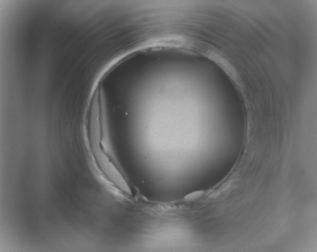 X0000068860960200605192014