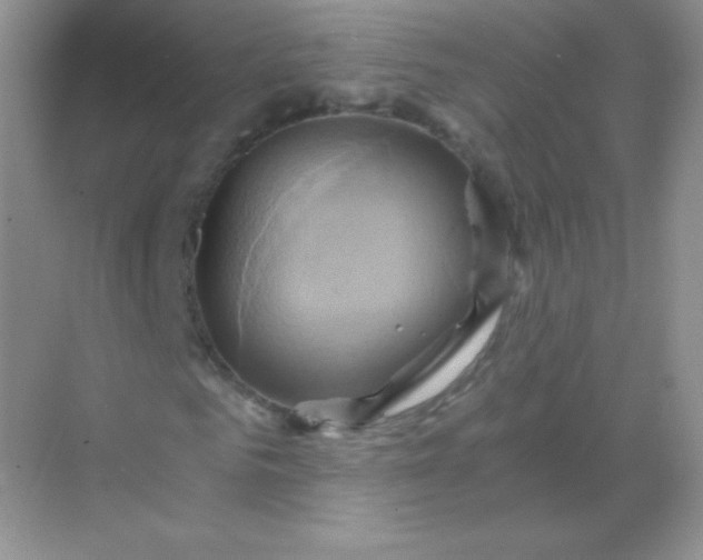 X0000068860961200605192013