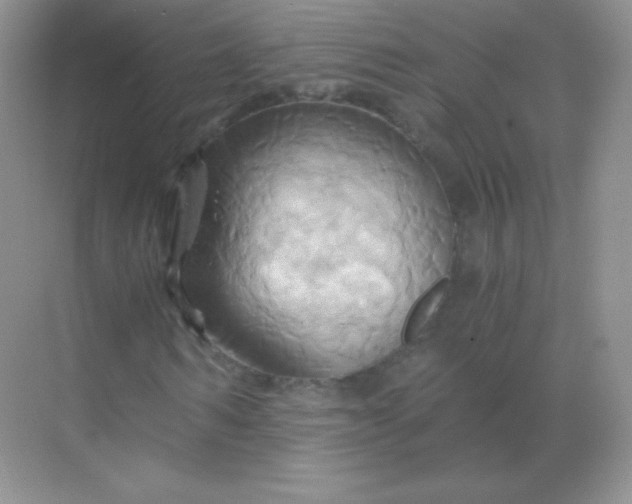 X0000068860962200605192013