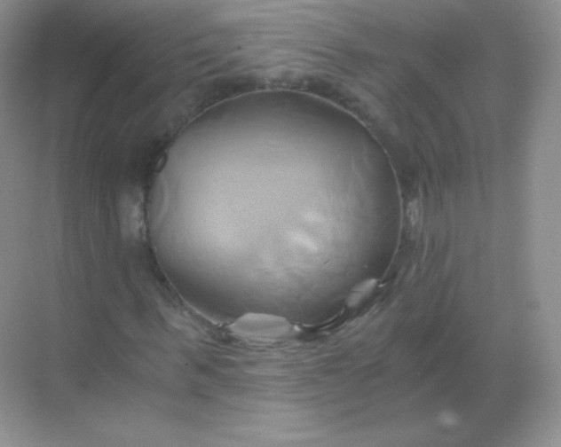 X0000068860963200605192013